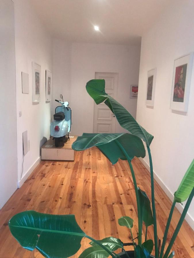 Center Boutique Appartement